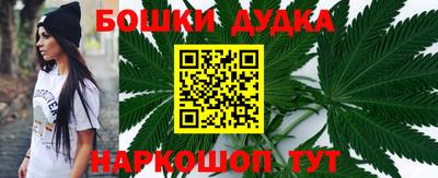 МДПВ Новодвинск