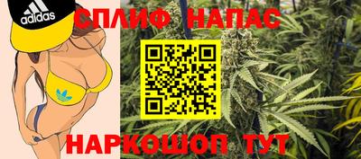 амф Новозыбков