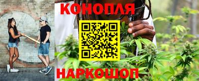 амф Новозыбков