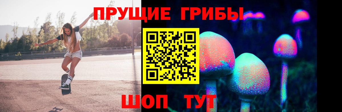 Галлюциногенные грибы GOLDEN TEACHER Ахтубинск